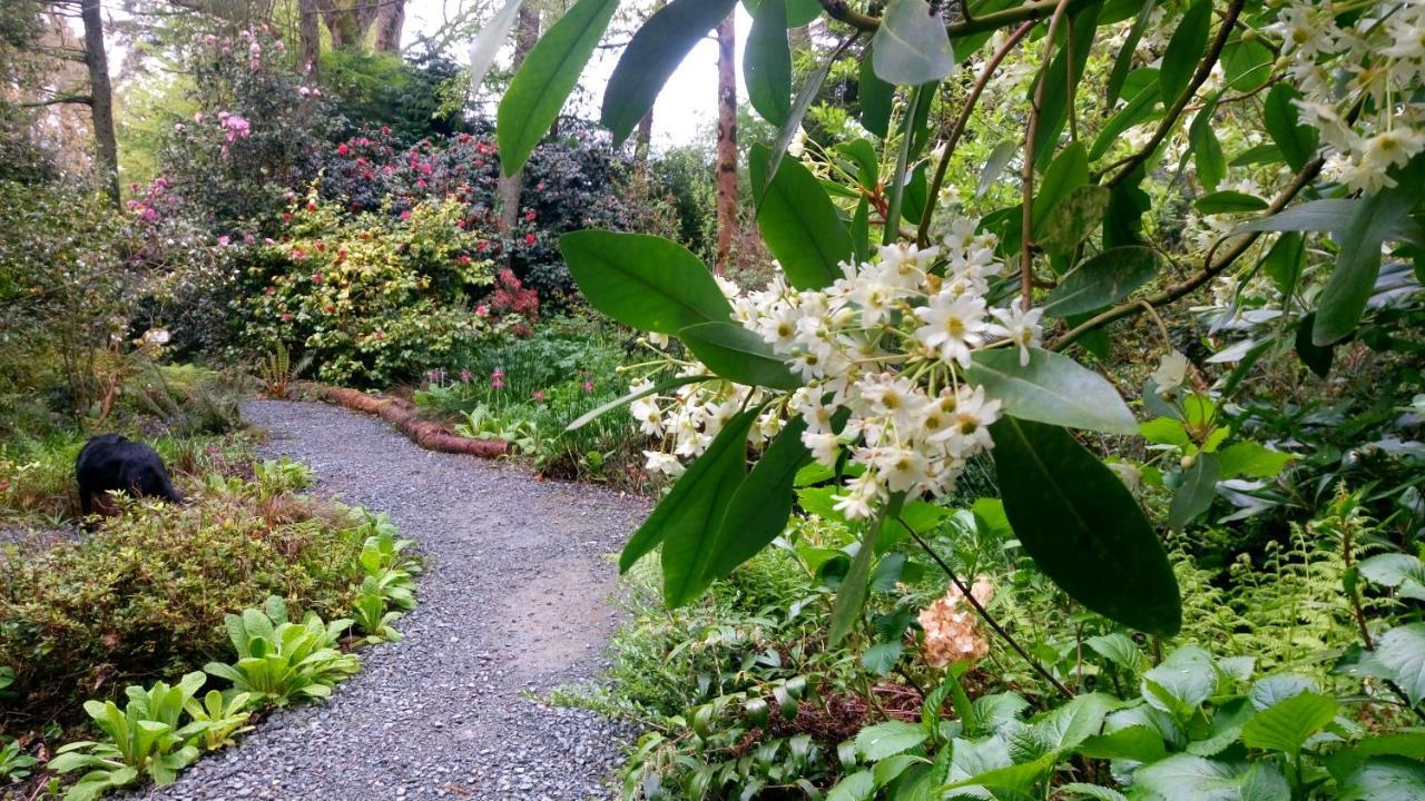 Kilmokea Country Manor & Gardens Hotel New Ross Kültér fotó